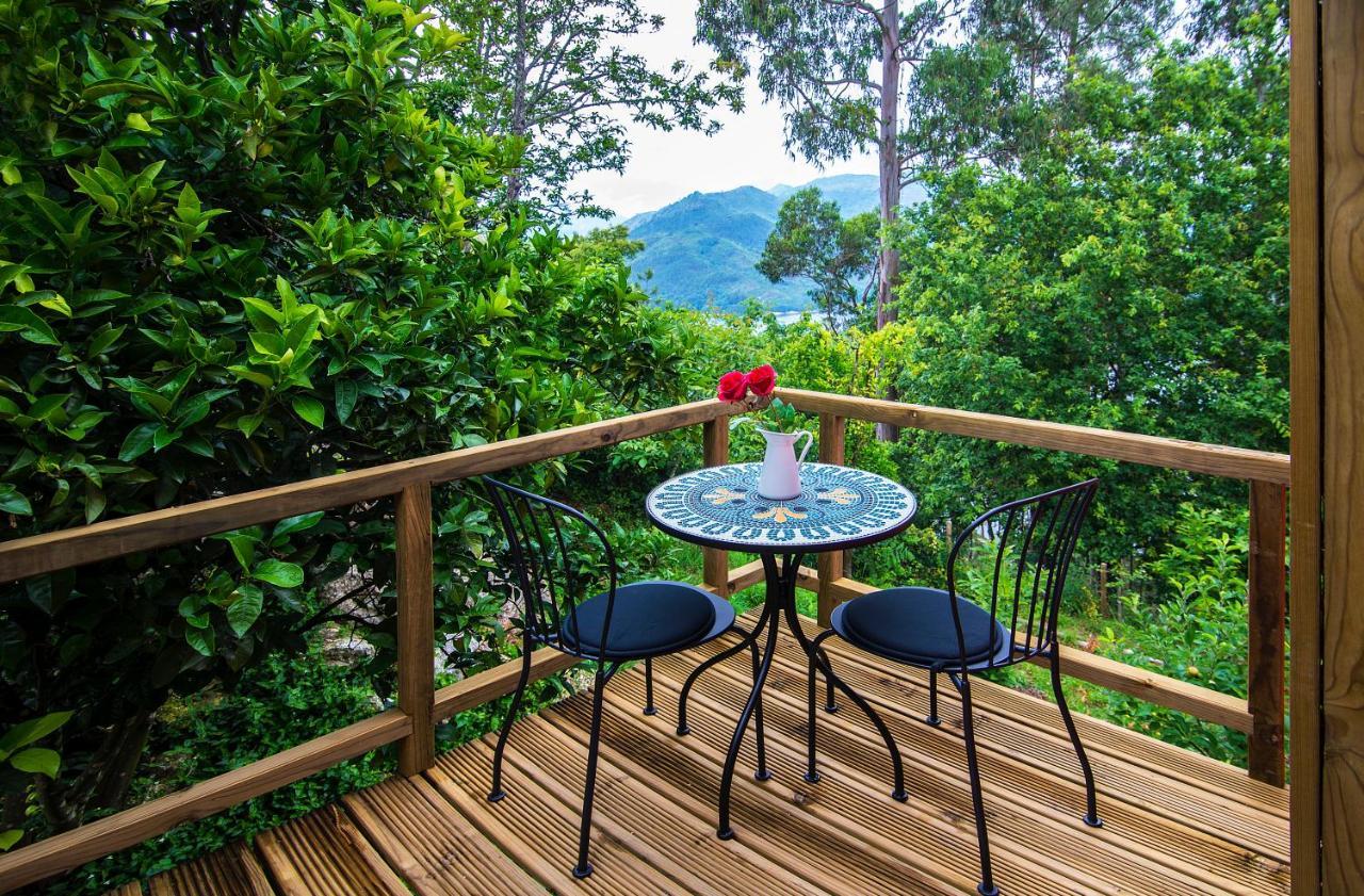 Welcome To Geres-Green View Vieira do Minho Exterior photo